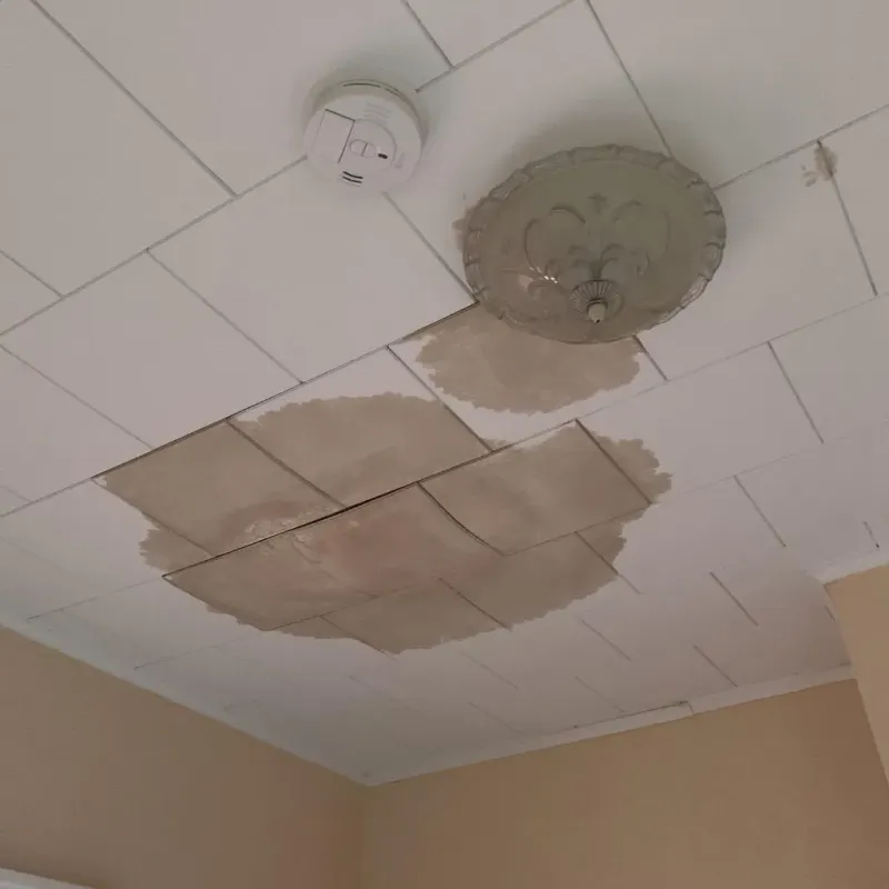 Ceiling Water Damage Repair in Bottineau County, ND