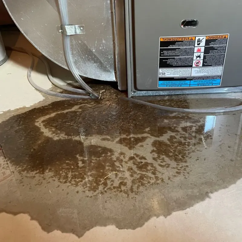 Pipe Burst and Leak Restoration in Bottineau County, ND
