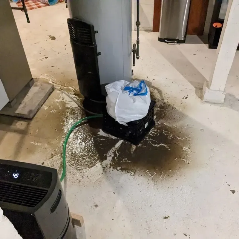 Sewage Backup Cleanup Service in Bottineau County, ND